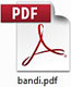 Icona di una versione del formato PDF