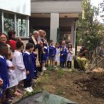 Leccio, Roverella, Carpino nero e Faggio nel cortile della scuola primaria di Castelraimondo